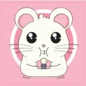 Hamster sticker autocollant interrupteur