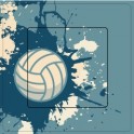 Volleyball sticker autocollant interrupteur