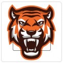 Tigre sticker autocollant interrupteur