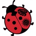 Sticker ladybug sticker adhesive