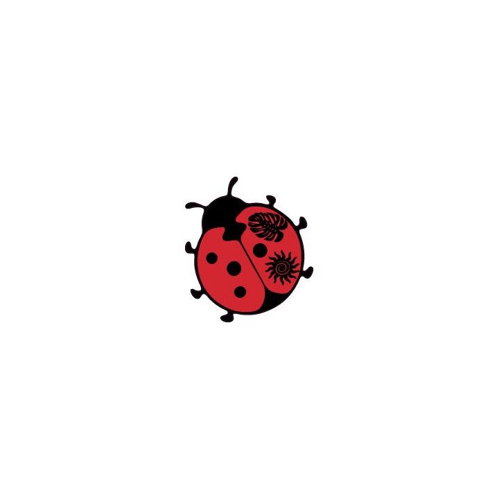 Autocollant coccinelle sticker adhesif