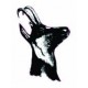 Autocollant animal stickers adhesif tête chamois