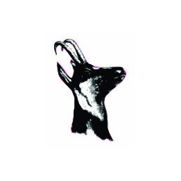 Autocollant animal stickers adhesif tête chamois