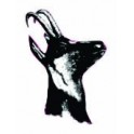 Autocollant animal stickers adhesif tête chamois