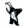 Autocollant animal stickers adhesif tête chamois