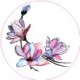 Adesivi balena wall sticker adesivo interruttore