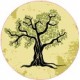 Adesivi balena wall sticker adesivo interruttore