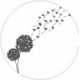 Stickers whale wall sticker sticker switch