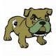 Bulldog Corse Corsica autocollant sticker adhesif