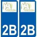 2A Ajaccio logo adesivo piastra adesivi città