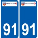 91 Igny logotipo de la etiqueta engomada de la placa de pegatinas de la ciudad