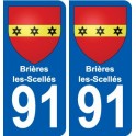 91 Igny escudo de armas de la etiqueta engomada de la placa de pegatinas de la ciudad