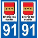 91 Igny logotipo de la etiqueta engomada de la placa de pegatinas de la ciudad
