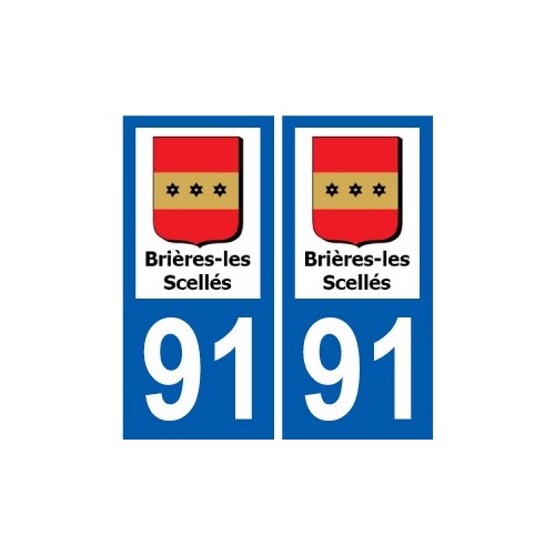 91 Igny logo sticker plate stickers city