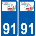 91 Igny logotipo de la etiqueta engomada de la placa de pegatinas de la ciudad