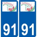 91 Igny logotipo de la etiqueta engomada de la placa de pegatinas de la ciudad