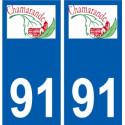91 Igny logo aufkleber typenschild aufkleber stadt