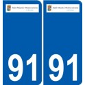 91 Igny logotipo de la etiqueta engomada de la placa de pegatinas de la ciudad