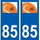 85 Sallertaine logo autocollant plaque stickers ville