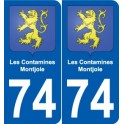 74 Faverges blason autocollant plaque stickers ville