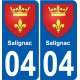 04 Salignac blason autocollant plaque stickers ville
