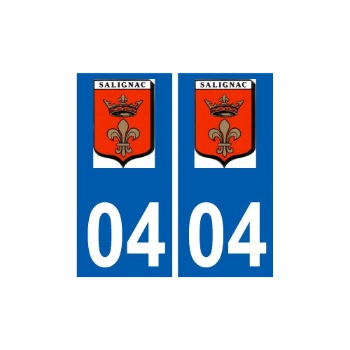 27 Léry logo aufkleber typenschild aufkleber stadt