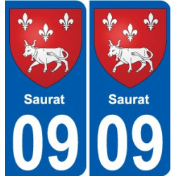 09 Léry blason autocollant plaque stickers ville
