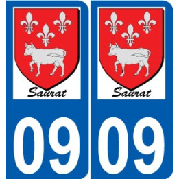 27 Léry logo sticker plate stickers city