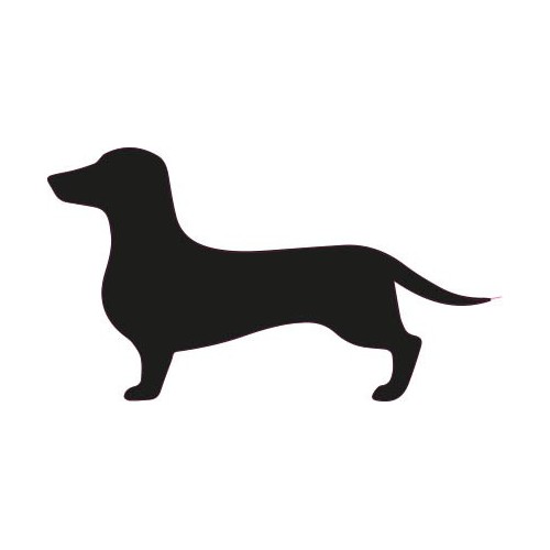 Chien Teckel autocollant sticker adhésif 