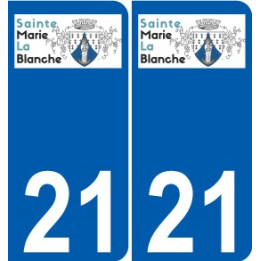 27 Léry logo aufkleber typenschild aufkleber stadt