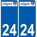 24 Léry logo autocollant plaque stickers ville