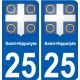 25 Léry blason autocollant plaque stickers ville