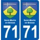 71 Saint-Martin-en-Bresse wappen aufkleber typenschild aufkleber stadt