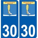 30 Penmarch logo autocollant plaque stickers ville