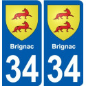 34 Penmarch blason autocollant plaque stickers ville