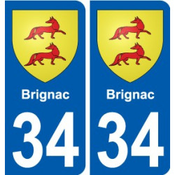 34 Penmarch blason autocollant plaque stickers ville