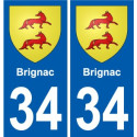 34 Penmarch blason autocollant plaque stickers ville