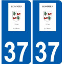 37 Penmarch logo aufkleber typenschild aufkleber stadt