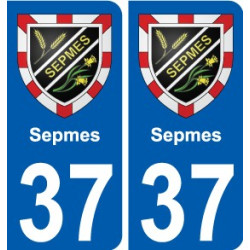 37 Penmarch escudo de armas de la etiqueta engomada de la placa de pegatinas de la ciudad