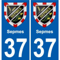 37 Penmarch blason autocollant plaque stickers ville