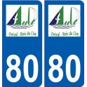 80 Roye logotipo de la etiqueta engomada de la placa de pegatinas de la ciudad