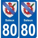 80 Roye blason autocollant plaque stickers ville