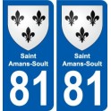 81 Graulhet blason autocollant plaque stickers ville