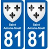 81 Graulhet wappen aufkleber typenschild aufkleber stadt
