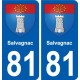81 Graulhet blason autocollant plaque stickers ville