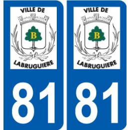 81 Graulhet logo aufkleber typenschild aufkleber stadt