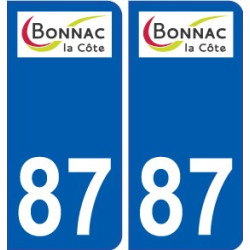 87 Panazol logo sticker plate stickers city