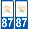 87 Panazol logo sticker plate stickers city