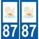 87 Panazol logo adesivo piastra adesivi città