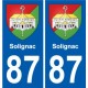 87 Panazol stemma adesivo piastra adesivi città